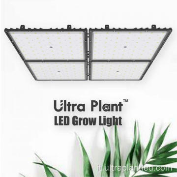 Luci progressive a LED agricole bianche da 150 W per l&#39;orticoltura